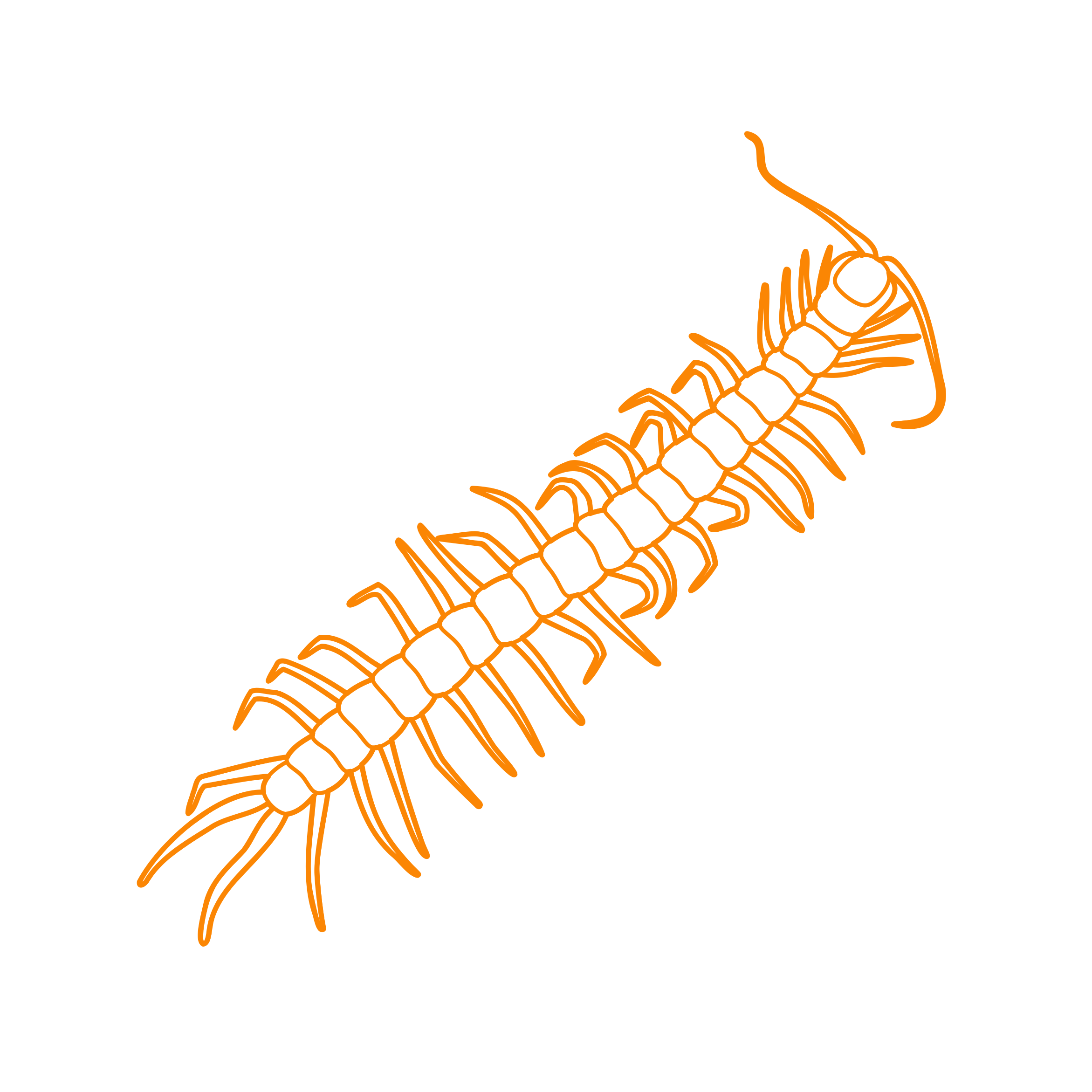 Animals Myriapods Giant Desert Centipede Stencil Svg Design File Free Vectors